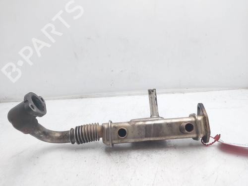 Used Egr NISSAN PATHFINDER III (R51) 2.5 dCi (174 hp) 19512531
