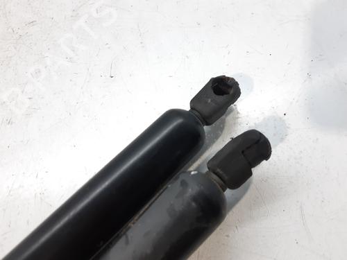 Tailgate lift support SEAT ALHAMBRA (7V8, 7V9) 1.9 TDI | BP14002278C138 