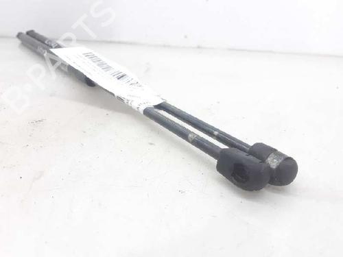 Tailgate lift support FORD FIESTA V (JH_, JD_) 1.4 TDCi | BP13996292C138 