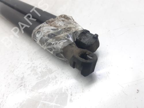 Tailgate lift support LANCIA PHEDRA (179_) 2.0 D Multijet (179.AXL1B, 179.BXL1B) | BP13997988C138 