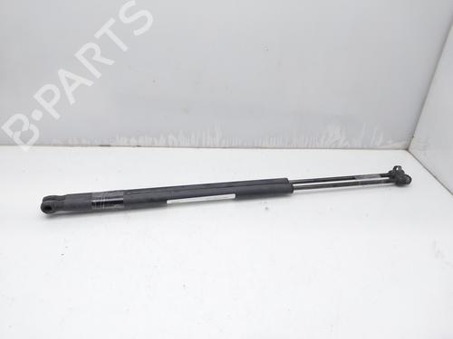 Tailgate lift support FORD FIESTA V (JH_, JD_) 1.4 TDCi | BP14006540C138 