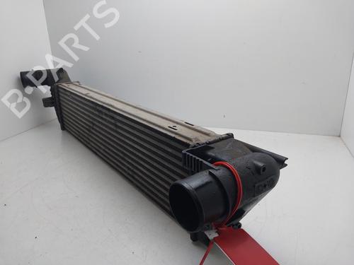 Intercooler RENAULT ESPACE IV (JK0/1_) 2.0 dCi (JK01, JK02, JK1J, JK1K, JK1H) | BP38232156M30 - Image 2