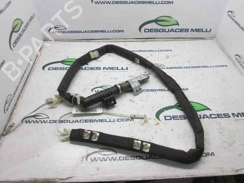 Airbag a tendina laterale destro RENAULT SCÉNIC II (JM0/1_) 1.5 dCi (JM1E, JM16) (106 hp) 6009402 | 6009402 |