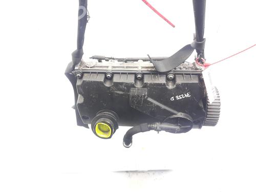 Used Cylinder head SEAT IBIZA III (6L1) [2002-2009]  29610618