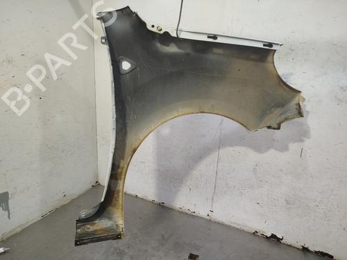 Left front fenders RENAULT KANGOO / GRAND KANGOO II (KW0/1_) 1.5 dCi 70 (KW0V, KW0A) | BP29704676C41 