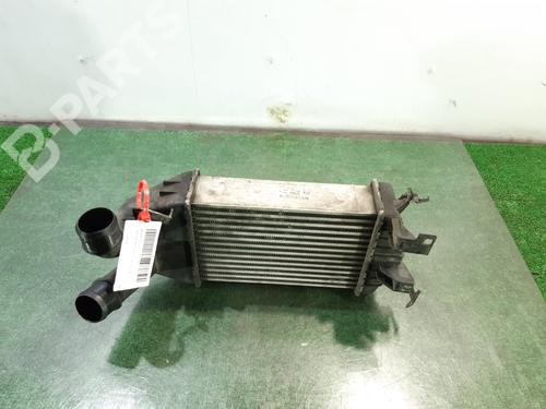 Used Intercooler Intercooler OPEL ZAFIRA / ZAFIRA FAMILY B (A05) 1.9 CDTI (M75) (120 hp) 10500656 10500656