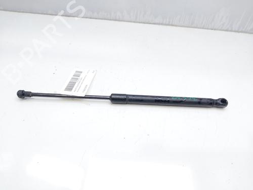 Hood lift support VW CADDY III Box Body/MPV (2KA, 2KH, 2CA, 2CH) 2.0 SDI | BP14007688C139 