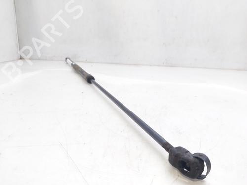 Hood lift support VW PASSAT B6 (3C2)  | BP18037444C139 
