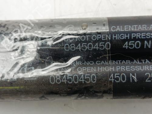 Gassdemper Bakluke PEUGEOT 308 I (4A_, 4C_) | BP30276014C138