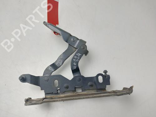 Used Hinge/Door check strap MERCEDES-BENZ C-CLASS (W204) C 200 CDI (204.007, 204.006) (136 hp) 32366667