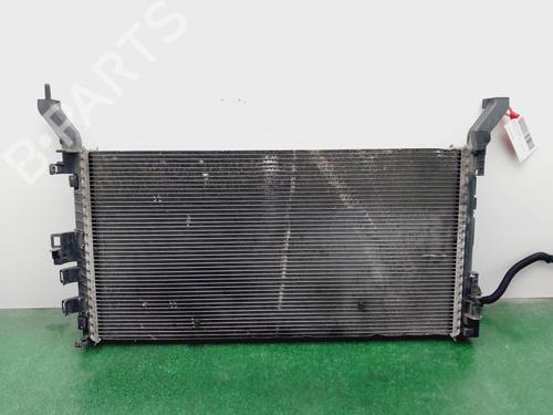 Radiatore acqua RENAULT LAGUNA III (BT0/1) 2.0 dCi (BT01, BT08, BT09, BT0E, BT0K, BT12, BT1C, BT1D,... (150 hp) 32411056