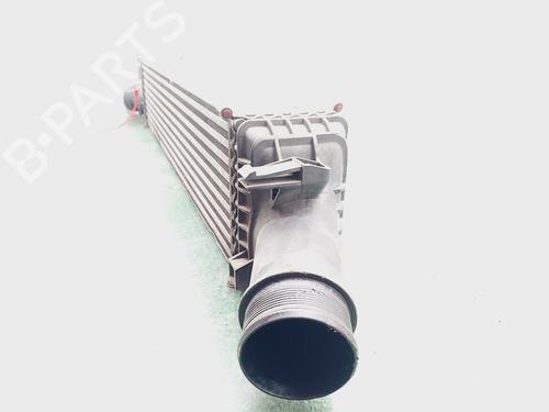 Intercooler SKODA FABIA I (6Y2)  | BP29620008M30 