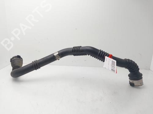 Rohr für RENAULT KANGOO / GRAND KANGOO II (KW0/1_) [2008-2026]  33052648