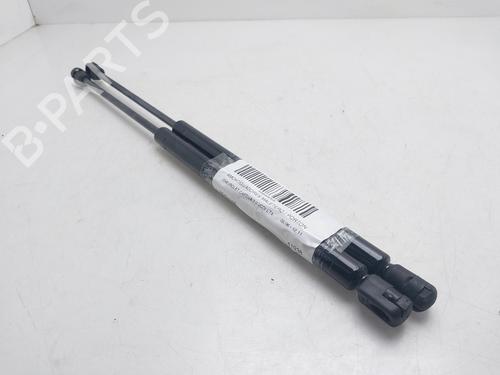 tailgate-lift-support-chevrolet-captiva-c100-c140-2006-36774890 main image
