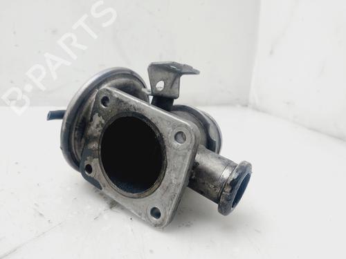 Egr BMW 3 (E46) 320 d | BP25798732M69 