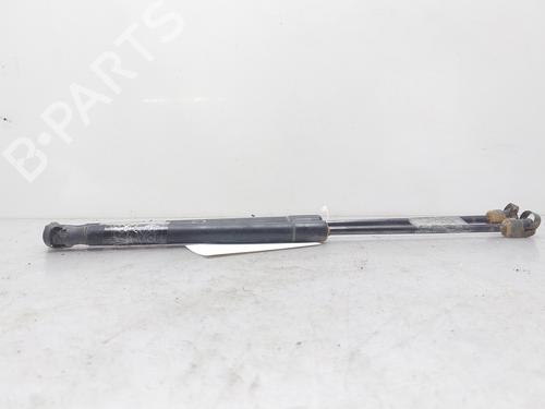 Tailgate lift support OPEL ASTRA H (A04) 1.4 (L48) | BP14009217C138 