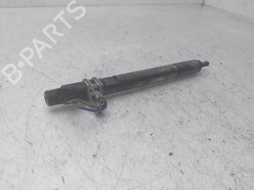 Injector SSANGYONG RODIUS I | BP30695308M100