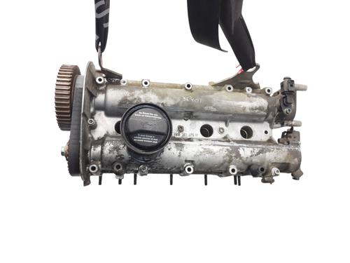 Used Cylinder head SEAT IBIZA III (6L1) [2002-2009]  21555148