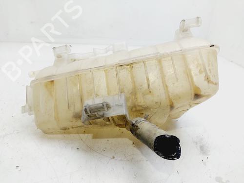 Expansion tank RENAULT KANGOO BE BOP (KW0/1_) 1.5 dCi 75 | BP19914932C120 