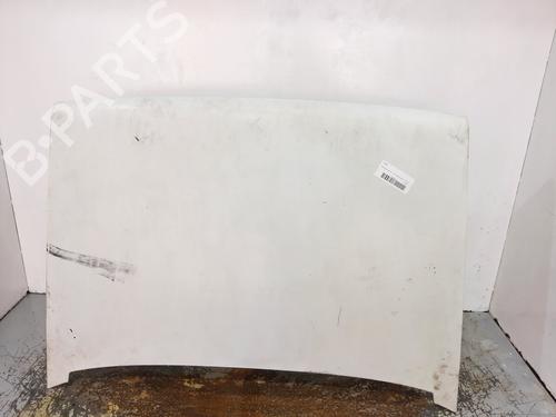 Used Hood RENAULT RAPID Box Body/MPV (F40_, G40_) 1.4 (F402) (58 hp) 16529254