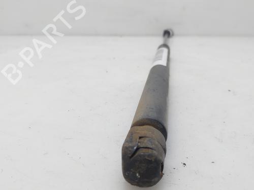 Hood lift support SEAT LEON (1M1) 1.9 TDI | BP18033496C139 