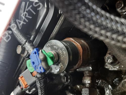 Engine PEUGEOT 2008 I (CU_) 1.6 BlueHDi 100 | BP30172539M1