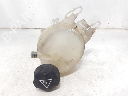 Used Expansion tank PEUGEOT 208 I (CA_, CC_) 1.4 HDi (68 hp) 8291194
