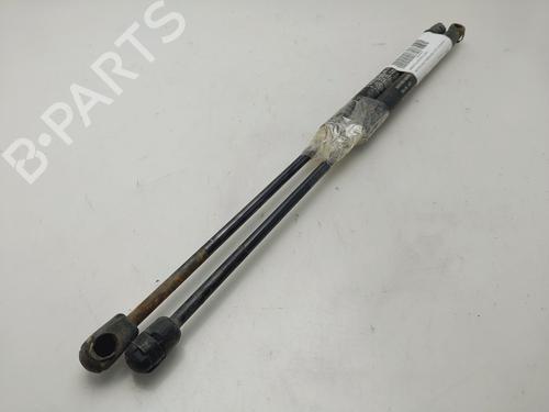 Hood lift support FIAT STILO Multi Wagon (192_) 1.9 JTD | BP24417225C139 