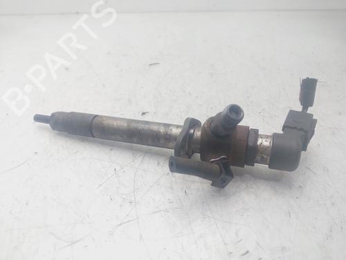 Injector LAND ROVER RANGE ROVER SPORT I (L320)  | BP29452493M100 