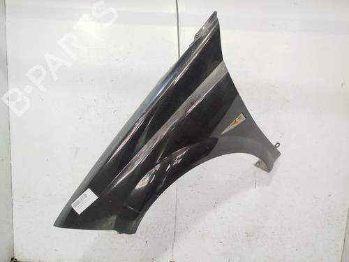 Used Left front fenders RENAULT MEGANE II Coupé-Cabriolet (EM0/1_) [2003-2010]  29070420