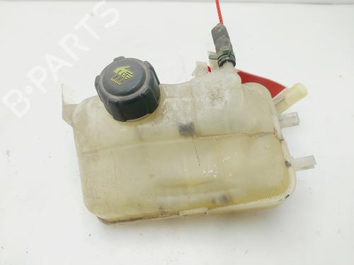 Used Expansion tank RENAULT MEGANE III Hatchback (BZ0/1_, B3_) 1.2 TCe (BZ2B, BZ11) (116 hp) 29063554