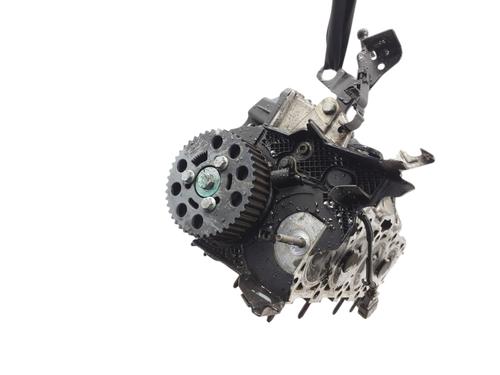 Cylinder head SEAT LEON (1P1)  | BP23255495M5 