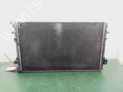 Køler SEAT LEON (1M1)  | BP24849005M31 