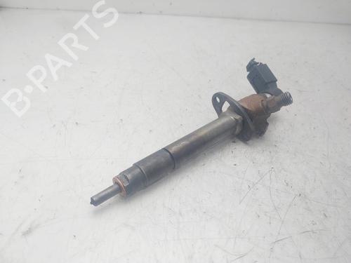 Injector LAND ROVER DISCOVERY III (L319) 2.7 TD 4x4 | BP29479791M100 