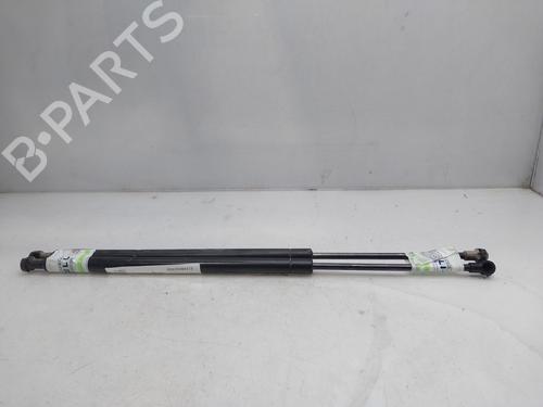 Tailgate lift support BMW X5 (E53) 3.0 d | BP17140697C138 
