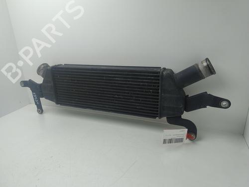 Intercooler CITROËN C-CROSSER (VU_, VV_) 2.2 HDi | BP32256217M30