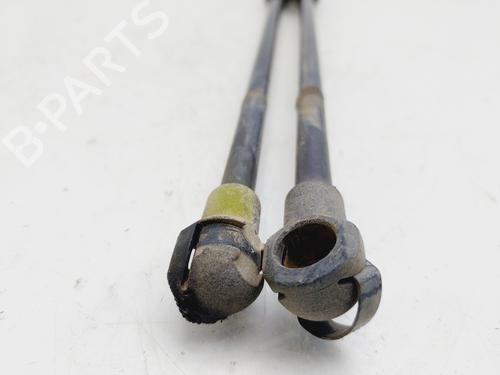 Tailgate lift support SEAT IBIZA III (6L1)  | BP25739040C138 