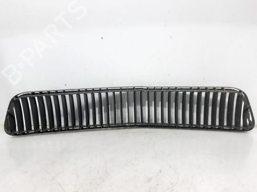 Grille SKODA FABIA I (6Y2)  | BP10240978C40 