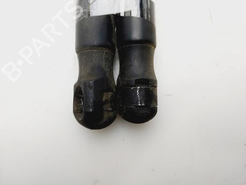 Hood lift support JAGUAR XF I (X250) 3.0 D | BP29418467C139 