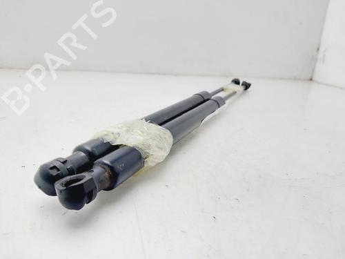Tailgate lift support RENAULT CLIO IV (BH_)  | BP20148927C138 