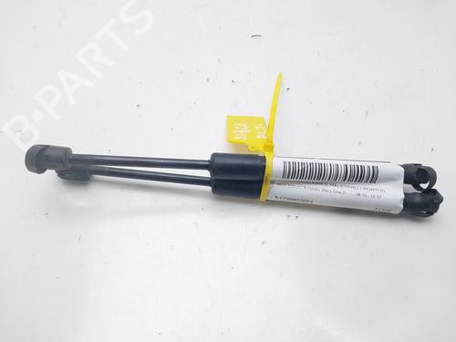 Used Tailgate lift support MINI MINI COUNTRYMAN (R60) One D (90 hp) 16214074
