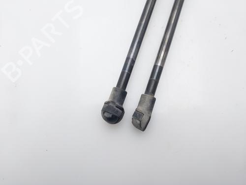 Tailgate lift support NISSAN QASHQAI / QASHQAI +2 I (J10, NJ10, JJ10E) 1.5 dCi | BP16214077C138 