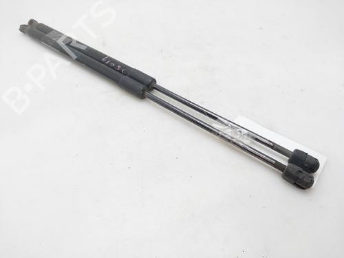 Used Tailgate lift support SKODA FABIA II (542) 1.4 TDI (70 hp) 19311584