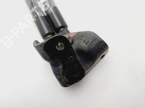 Tailgate lift support SEAT LEON (1P1) | BP32410339C138