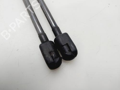 Tailgate lift support SEAT LEON (1P1) | BP32410339C138