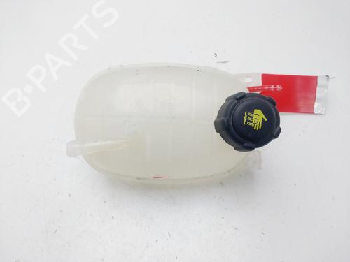 Used Expansion tank DACIA SANDERO III [2021-2025]  29390863