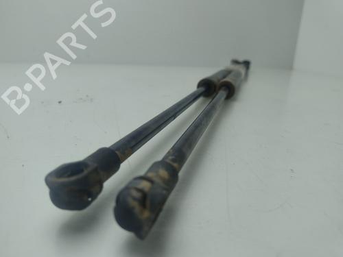 Tailgate lift support NISSAN X-TRAIL III (T32_, T32R, T32RR)  | BP29435015C138 