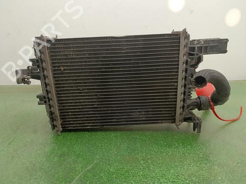 Intercooler DACIA LODGY (JS_) | BP38014311M30 - Image 3