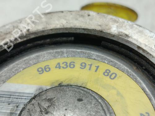 Styring servopumpe PEUGEOT PARTNER MPV (5_, G_) | BP30712797M99