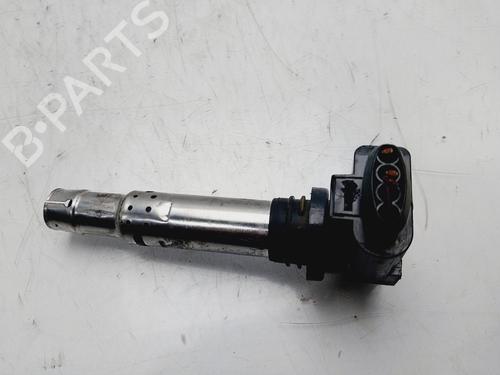 Ignition coil SEAT IBIZA IV SC (6J1, 6P5)  | BP20291484M94 